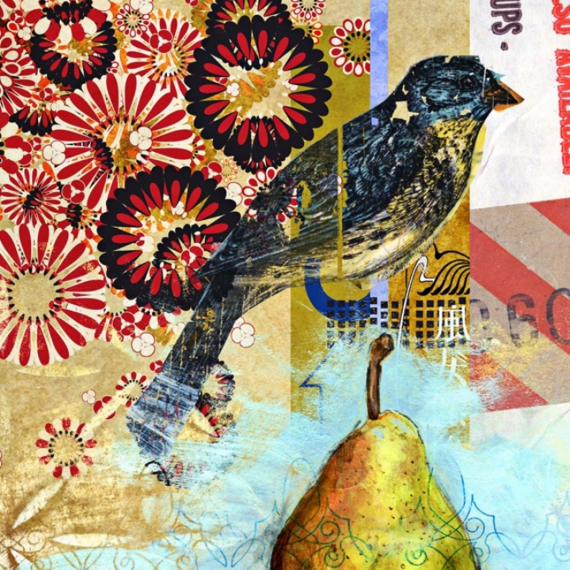 Studio Collage Bird Giclee 36" Square Canvas Wall Art (n1771)