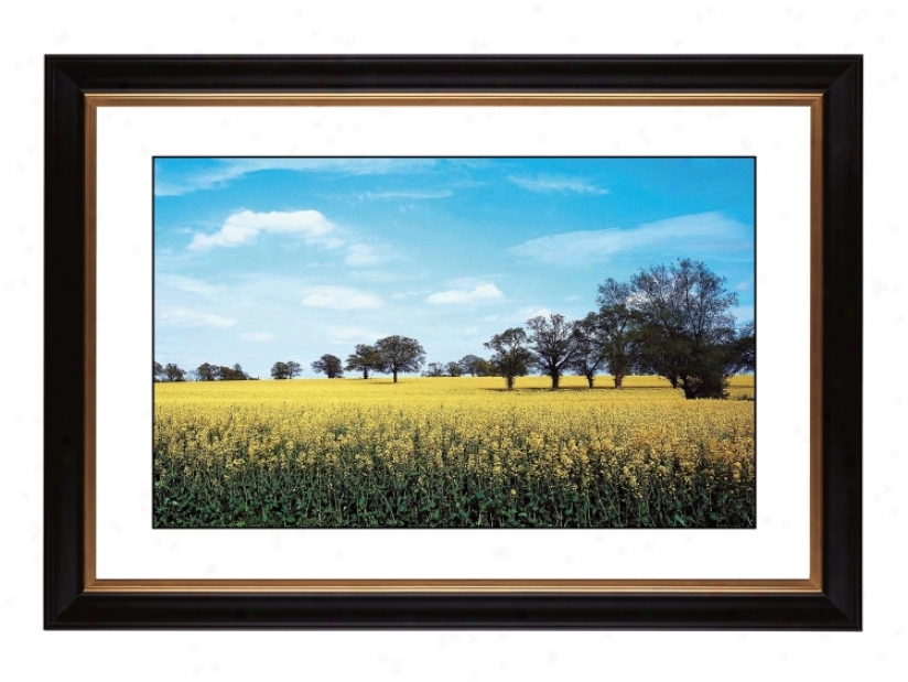 Summer Field Giclee 41 3/8" Wide Wall Art (57077-80384)