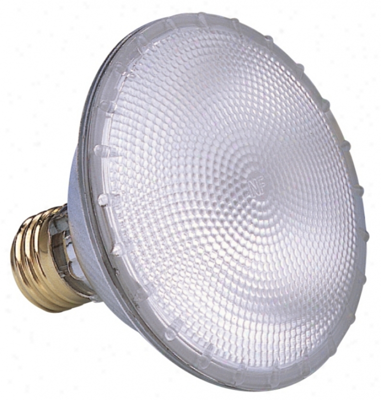 Sylvania Par30 Flood Capsylite Light Bulb (08097)