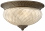 Hinkley Hawaiian Plantatoon 16" Wide Outdoor Ceiling Light (f8613)