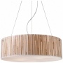 Modern Organics Collection Bamboo Stems Pendant Light (k9617)