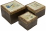 Set Of 3 Worldly Butterfly Wood Boxes (t9970)