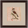 Wood Wren 23" Square Wall Art Print (j6039)