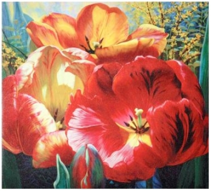 Tulip Trio Wrappe Canvas Print 36" Wide Wall Art (j4125)