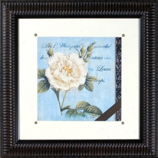 Vintage Rose Ii Print Under Glass 21" Square Wall Art (h1924)