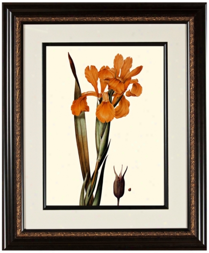 Warm Floral A 23 3/4" High Framed Botanical Wall Cunning (w0481)