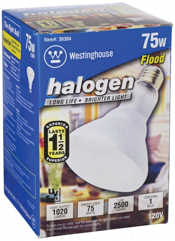 Westinghouse 75 Watt Halogen Light Bulb (46162)