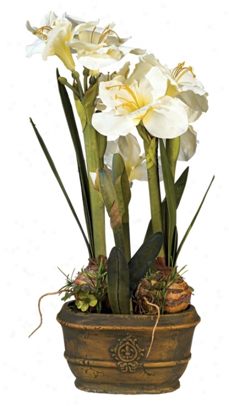 White Triple Amaryllis Flower Arrangement (30150)