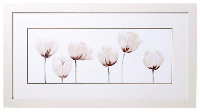 White Tulip Line-up I 32" Wide Print (k4907)