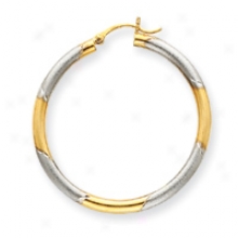 14k Rhodium 3mm Satin And Damond-cut Hoop Earrings