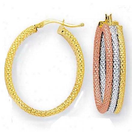 14k Tricolor Multi-circles Design Hoop Earrings