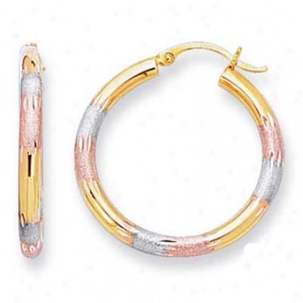 14k Tricolor Small Fanccy Desibn Hoop Earrings