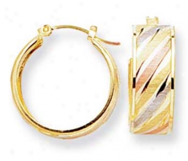 14k Tricolor Small Wave Design Hoop Earrings