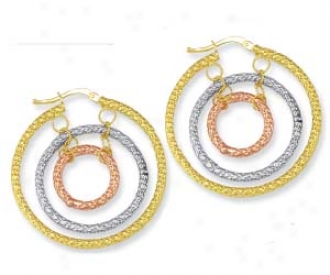 14k Tricoolr Triple Hoop Earrings