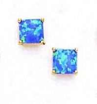 14k Yellow 6 Mm Square Dark Blue Opal Earrings