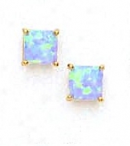 14k Yellow 6 M mSquare Light Blue Opal Earrings