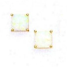 14k Yellow 7 Mm Equality Opal Friction-back Post Stud Earrings