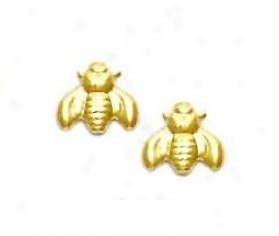 14k Yellow Moth Friction-back Post Earrings