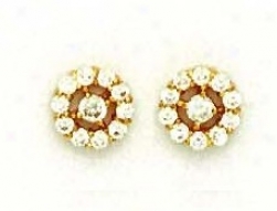 14k Yellow Round Cz Flowwer Design Post Earrings