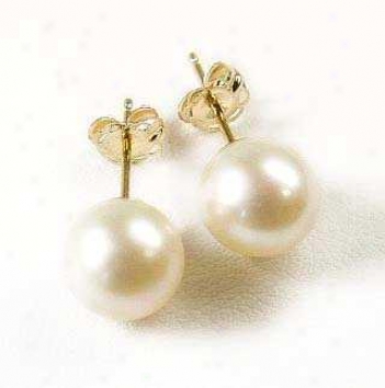 7.O - 7.5 Mm Freshwater Cultured Pearl Studs