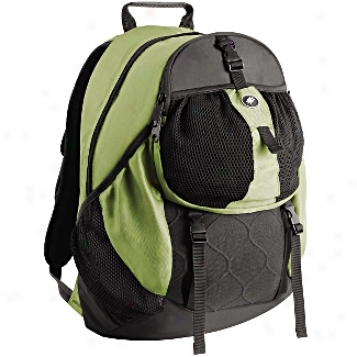 Pacsafe Adventure Daysafe 100 Anti-theft Backpack