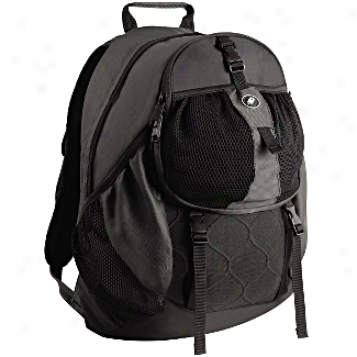 Pacsafe Adventuure Daysafe 200 Anti-theft Computer Backpack