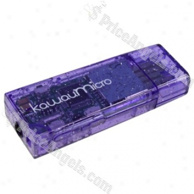 2-in--1 Sdhc Micro-sd Card Reader + Mp3 Player (purple)