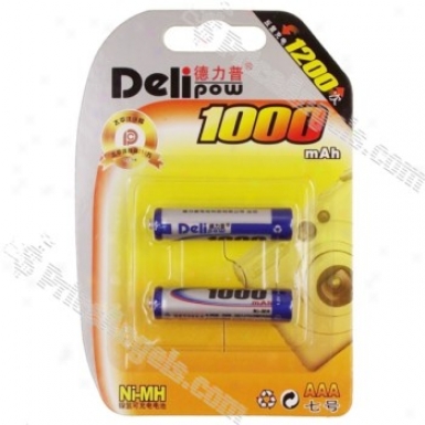 Delipow Aaa 1000mah 1.2v Ni-mh Rechatgeable Batteru(2-pack)