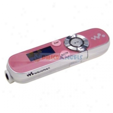 Designer's 0.8-inch Lcd Usb Rechargeable Mp3 Player With Fm Radio(2gb)-pink