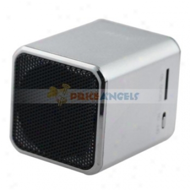 Nizhi Sports Style Mini Speaker Amplifier W/ Fm Radio+tf Card Usb Slots For Pc Mp3 Mp4 Player(silver)