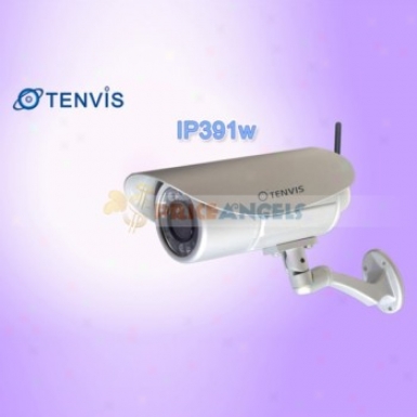 Tenvis Ip391w 18 Lec 1/4 Cmos Ir Night Vision Wireless Outdoor Ip Camera