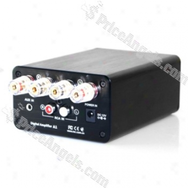 Two Channels Audio Digital Amplifier(black)