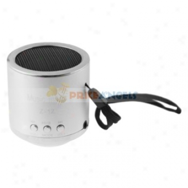 Z-12 3.5mm Audio Rechargeable Sports Speaker With Tf Card Slot/fm(silver)