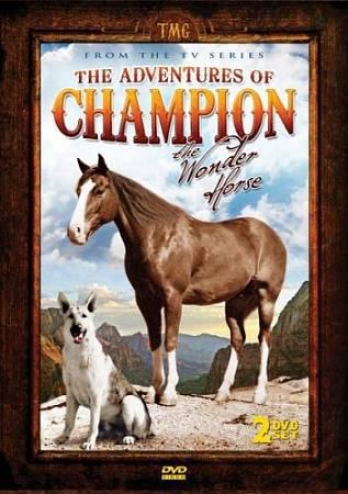 Adventures Of Champion