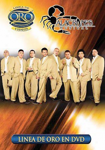 Alacranes Musical - Linea De Oro En Dvd