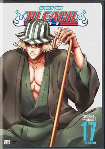 Bleach - Vol. 17