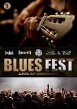 Blues Fest: Live At Hungary