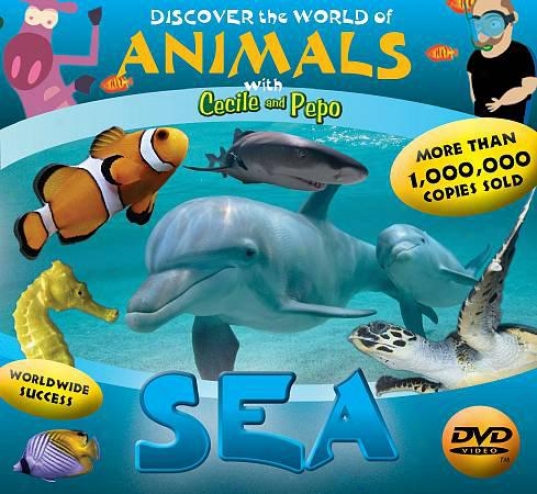 Discover The World Of Animals: Sea