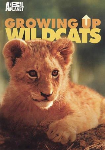 Growing Up Wildcats