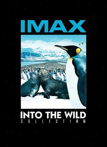 Imax Into Te Wild Collection