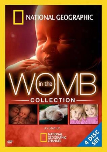 In The Womb Collection