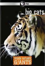 Inside Natre's Giants: Big Cats