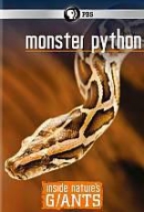 Inside Nature's; Giants: Monster Python