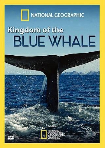 Sovereignty Of The Blue Whale