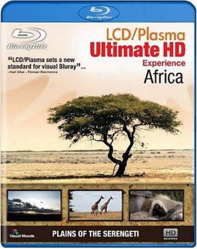 Lcd/plasma Utimate Hd Experience: Africa