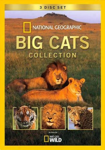 National Geographic: Big Cats Accumulation