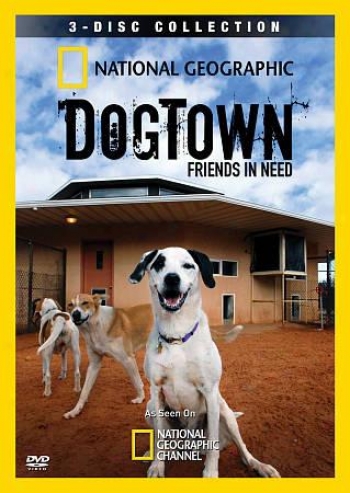 National Geographic: Dogtown - Friends In Need