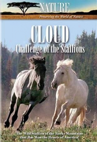 Nature: Cloud - Exception Of The Stallions