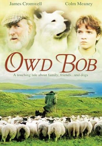 Owd Bob