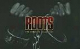 Roots - The Complete Collection